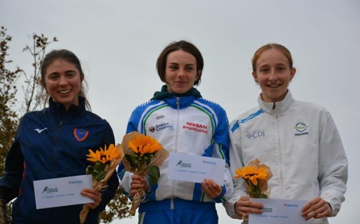 Roatta podio carsolina