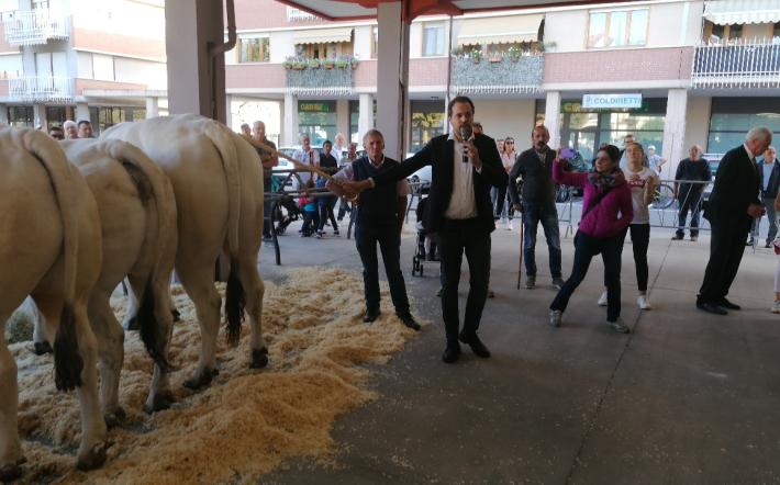 Carrù: annullata definitivamente l’Asta del Bue 2024