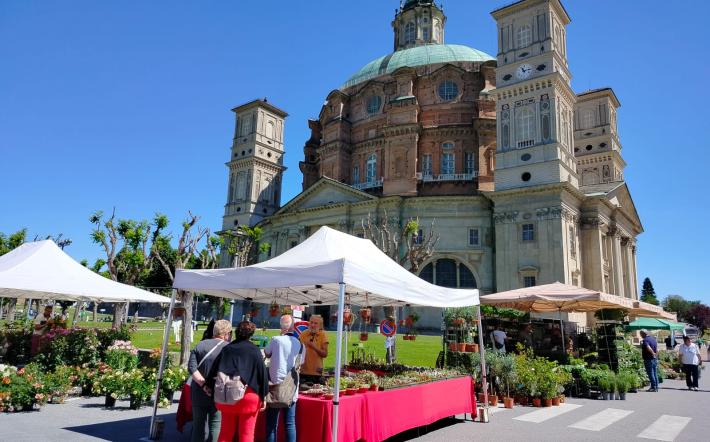 Vicoforte: scelte le date per l&rsquo;edizione 2025 di &ldquo;Florete Flores&rdquo;