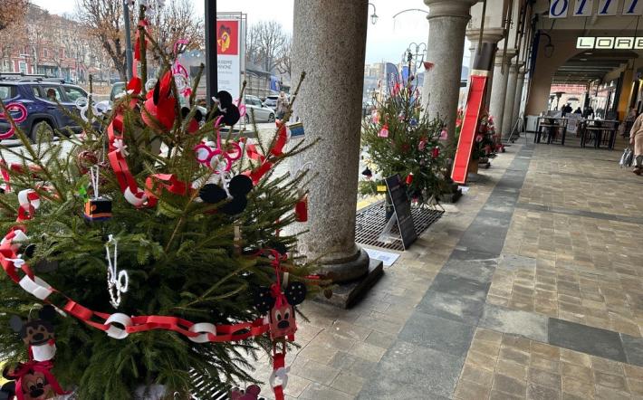 Il Cfp Cabano-Monregalese si aggiudica il contest del Circolo delle Idee dedicato agli Alberi di Natale 