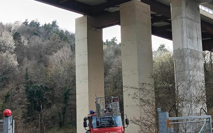 Gatto bloccato sotto un viadotto autostradale a Sale Langhe