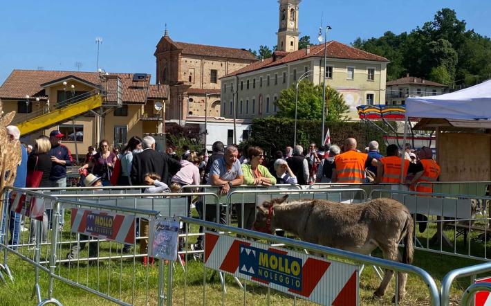 Monastero: work in progress per la Fiera dell’Asino