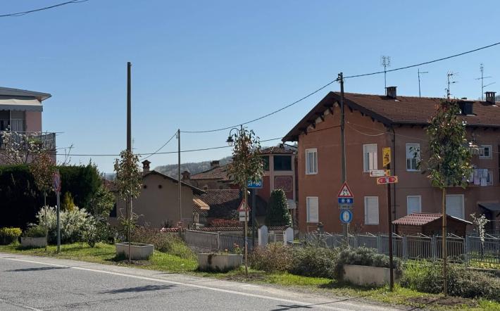 San Michele: messi a dimora i primi alberi del nuovo viale