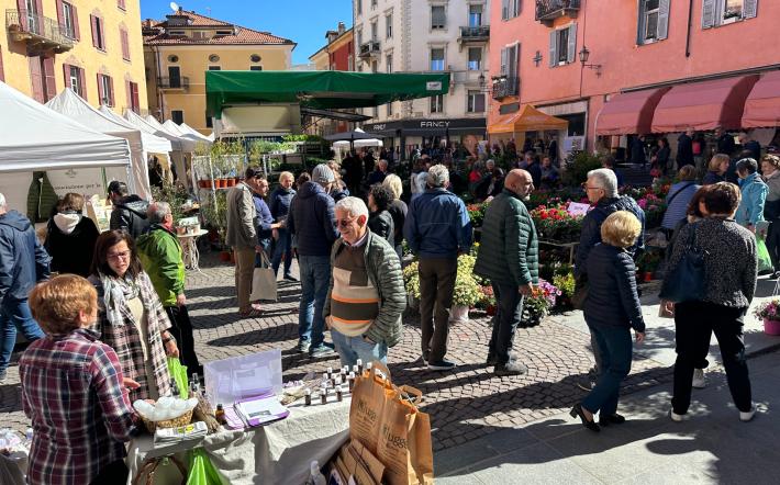 FIERA DI PRIMAVERA 2025 A MONDOVì: tutto il PROGRAMMA di sabato e domenica