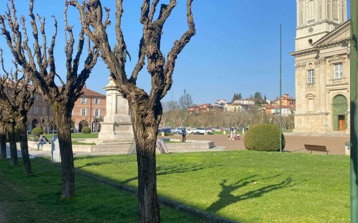 Vicoforte: la provocazione della minoranza sugli alberi davanti alla Palazzata
