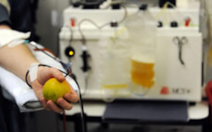 Torna la "24 Ore del Plasma": l’evento anche all’ospedale  “Regina Montis Regalis” di Mondovì