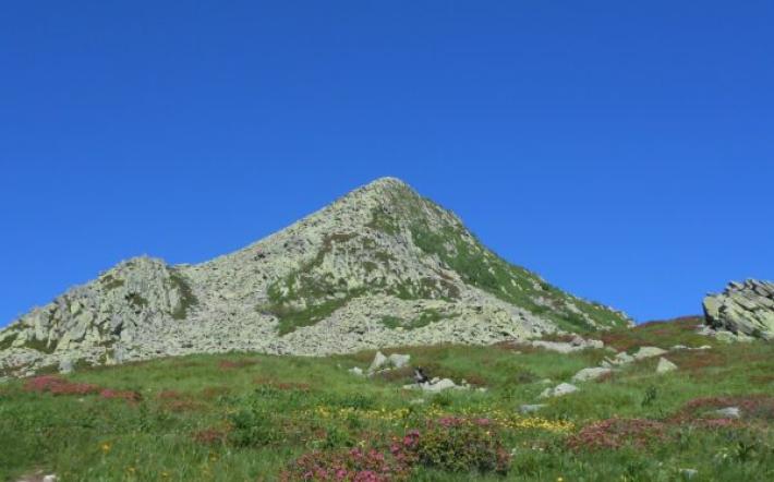 Peveragno, vietato il campeggio libero in Località Le Meschie