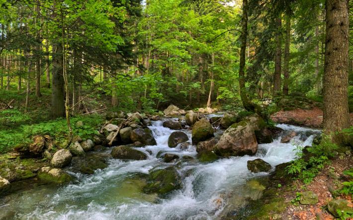 Chiusa Pesio: sabato riapre il tratto di pesca nella riserva dell’Alta Valle