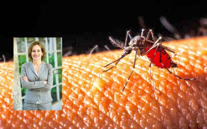 Virus West Nile: “Nessun allarme, ma occorre proteggersi. Il clima non è più lo stesso”
