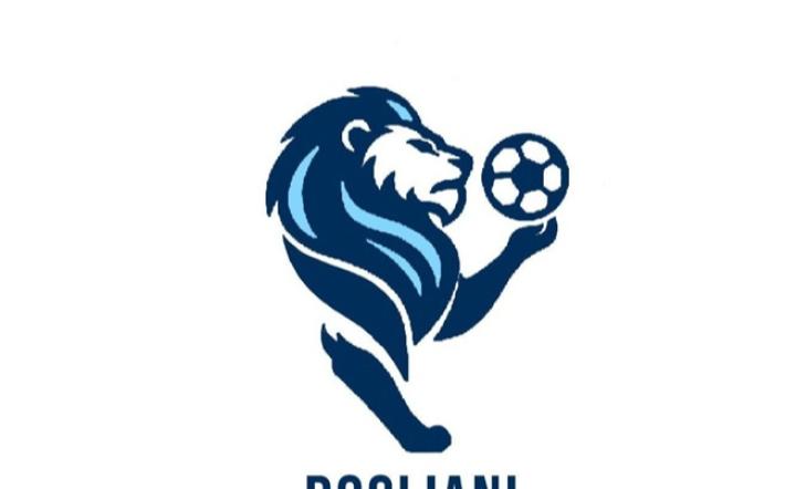Dogliani calcio nuovo Logo