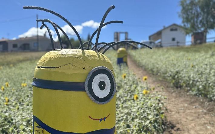 Anche i Minions pronti a festeggiare Ciüsa Duvarta 