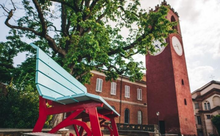 Italia Nostra censisce tre alberi monumentali di Dogliani