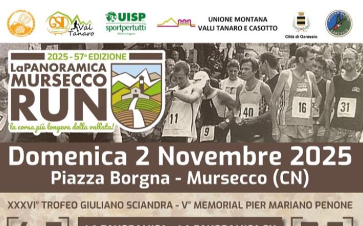 volantino panoramica