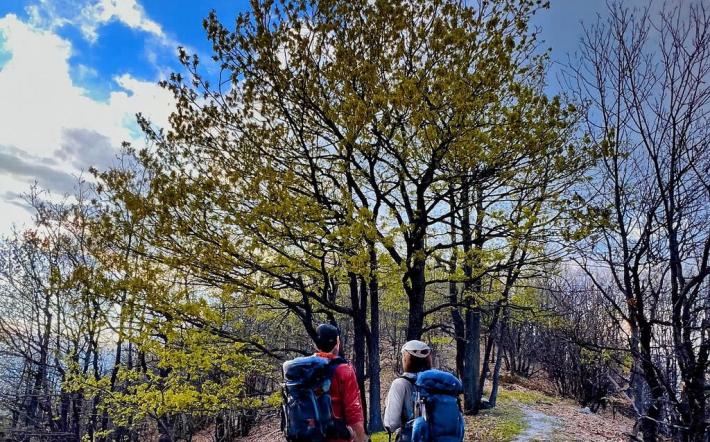Un nuovo portale per i sentieri di Chiusa Pesio: ecco “A zonzo in valle Pesio”