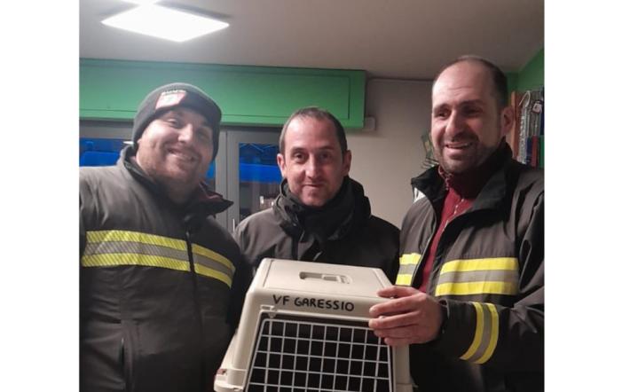 sparviero garessio vigili fuoco