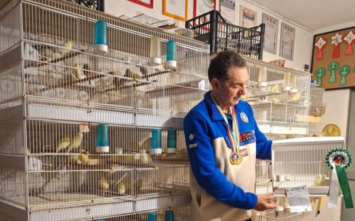 Serran&ograve; Canarini