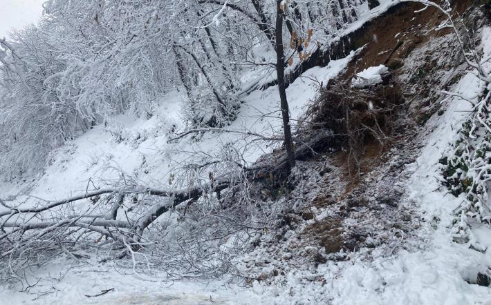 Numerosi interventi in tutta la provincia per alberi caduti sotto il peso della neve