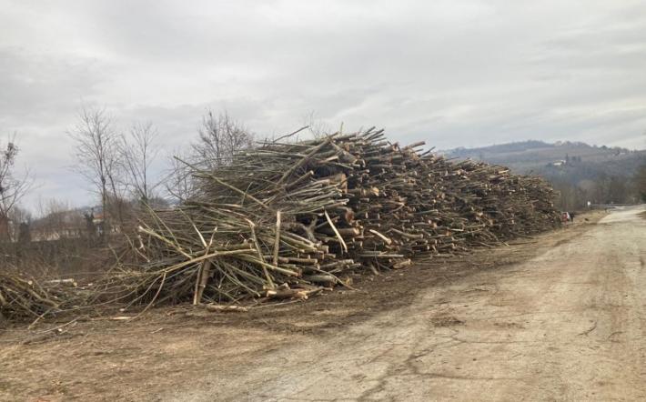 Clavesana: partito nel Tanaro un taglio della vegetazione come non si faceva da tempo 