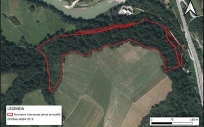 L&rsquo;associazione fondiaria Monregalese sistemer&agrave; l&rsquo;area in localit&agrave; Fornelli a Niella Tanaro
