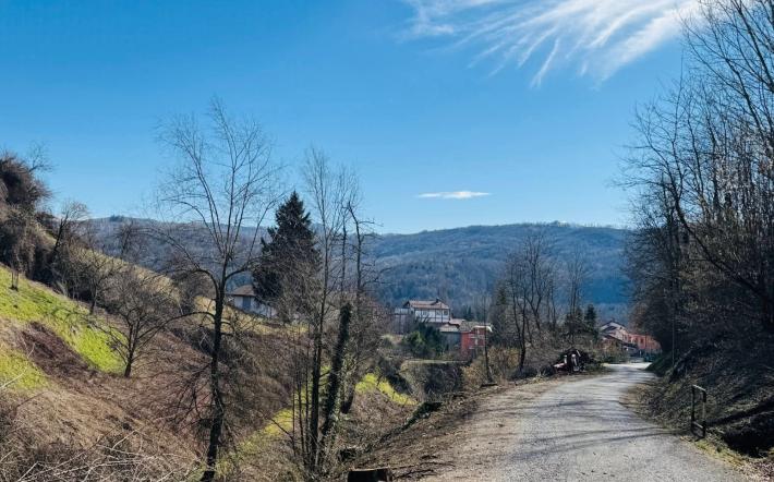 San Michele: tagliate alcune piante pericolanti in via Castello