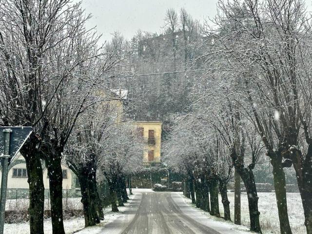 Garessio